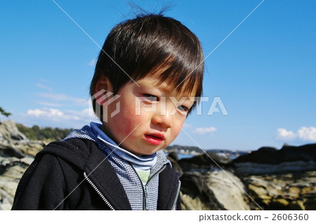 Seas and Aras of Arasaki 2606360