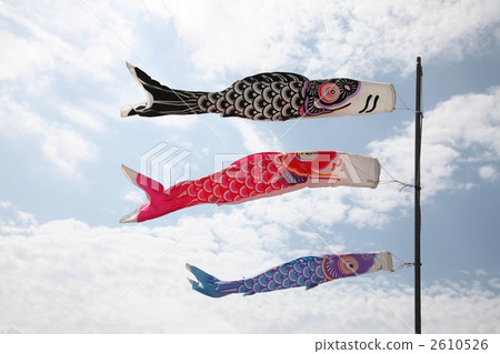 carp streamer carp streamer 2610526