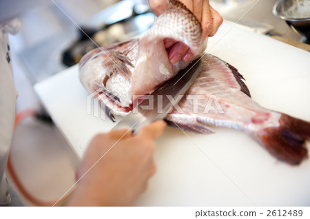 野鯛魚 野鯛魚 2612489