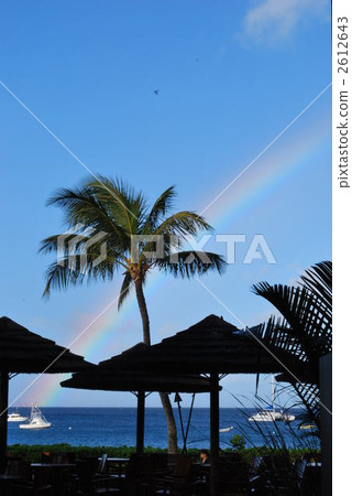 palm tree, resort, resorts 2612643