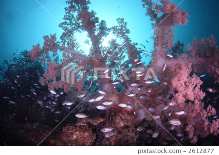 與Tosaka一起 與Tosaka一起 2612877