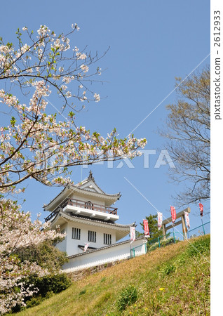 Owari大野城堡在春天 2612933