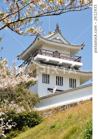 Owari大野城堡在春天 2612935