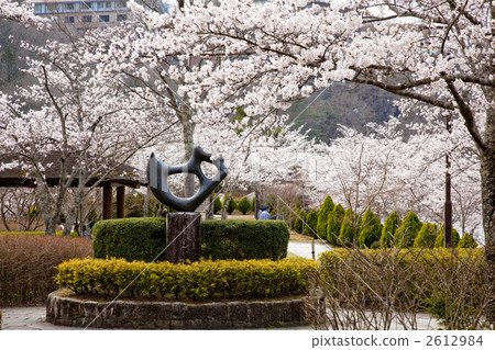 Enakyo的櫻花 2612984