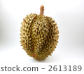 king of fruits, durian, southeast asia 2613189