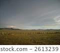 Mongolian prairie 2613239