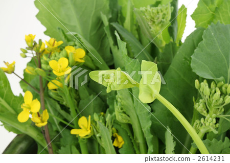 食物 美食 食品 2614231