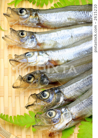 Shishamo Shishamo 2615210