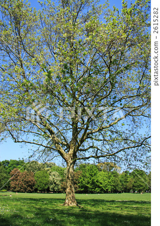 Kurunenburg Park Kurunenburg Park 2615282