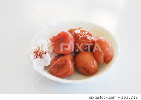 梅 梅 2615712