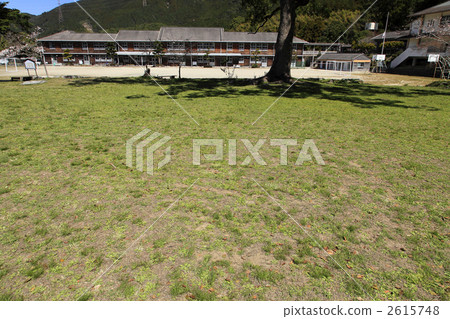 秋月中學草坪 2615748