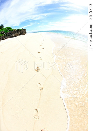 Footprints of the beach @ Yoron Island (fisheye lens) 2615860