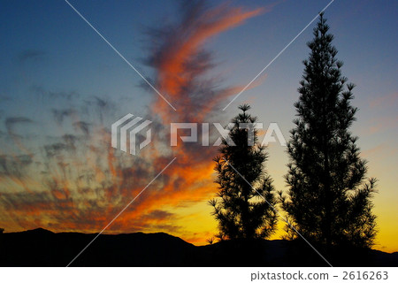 玫瑰色彩霞 2616263