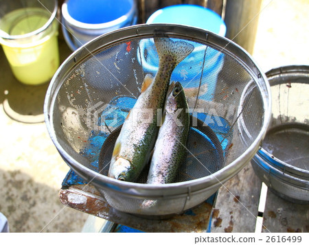Fishing pond 2616499