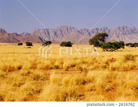 Namib Desert 2616762