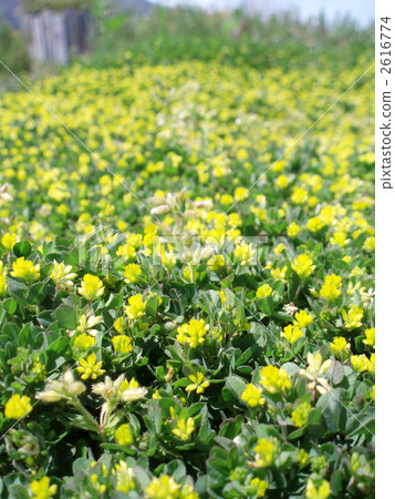 outdoor, outside, one side 2616774