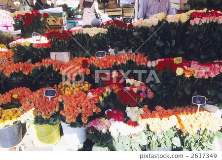 Rose of a flower shop 2617349