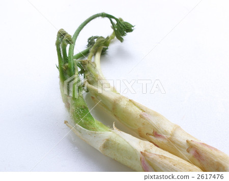 Mount Udo Mount Udo 2617476