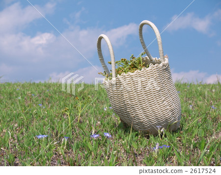 Brush hunting 2617524