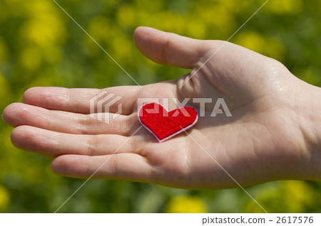 Feelings of spring 2617576