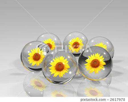 Sunflower handle marbles 2617978