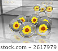 Sunflower pattern marbles (showcase) 2617979