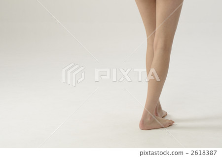 腿 2618387