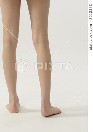 腿 腿 2618388