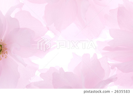 櫻桃背景 2635583