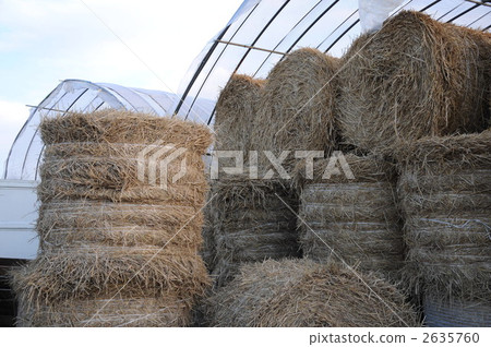 乾草卷 2635760
