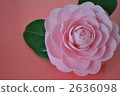 花單輪 2636098