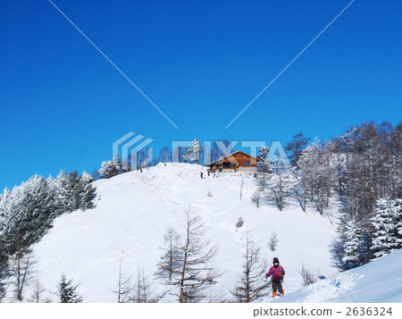 Tsunemi疏散小屋 2636324