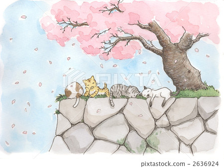 睡覺在櫻桃樹下的貓 2636924