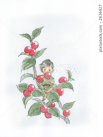 Red fruit and dwarf 2636927