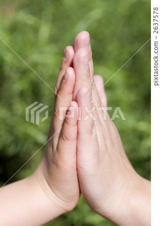 兩隻手 兩隻手 2637578