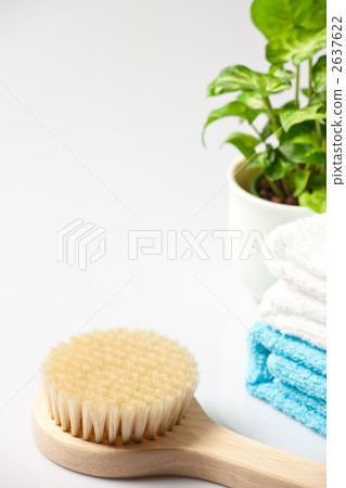 沐浴用品 沐浴用品 2637622