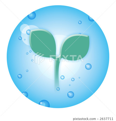 Futaba and water 2637711