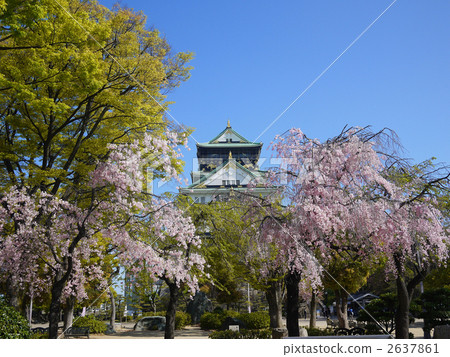 大阪大阪城堡城堡塔 大阪大阪城堡城堡塔 2637861