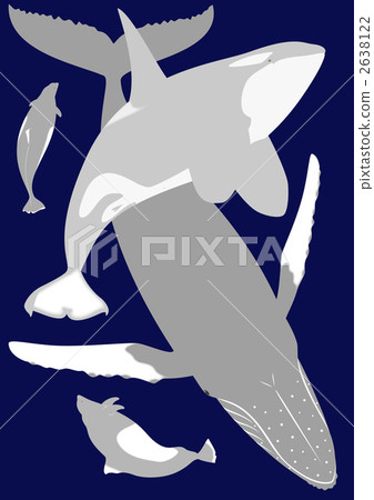 orca, humpback whale, humpback 2638122