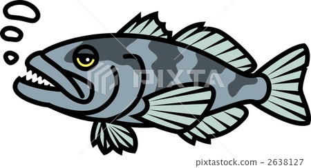 deep-sea fish, fish, saltwater fish 2638127