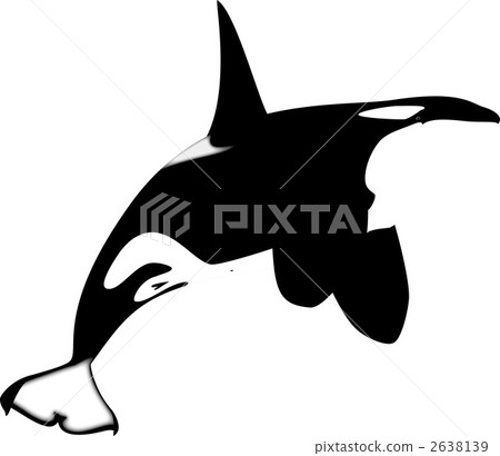 orca, killer whale, whale 2638139
