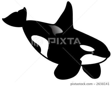 orca, killer whale, whale 2638141
