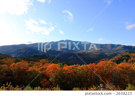 從Hirugana Mori的服務區域可以看出 2638223