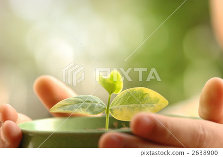 長大了！ 2638900