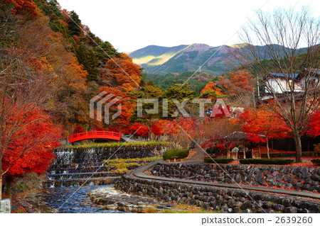 Gifu Prefecture Gero City Amitaka Park Gifu Prefecture Gero City Amitaka Park 2639260