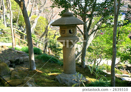 參觀以Haseko Kannon名字命名的Hase寺廟 2639310
