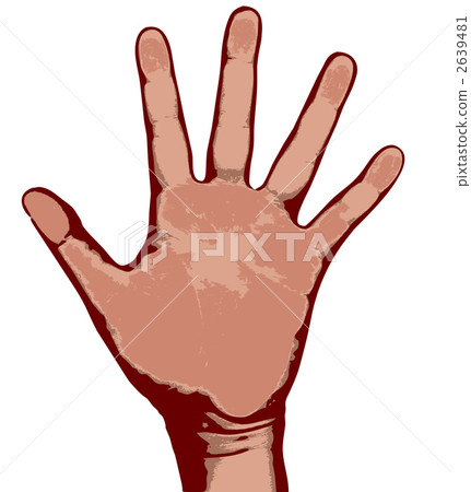 palm palm 2639481