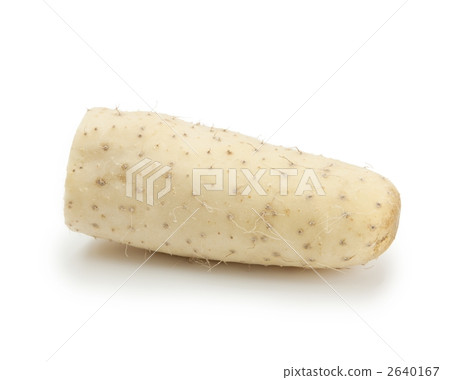 Yam 2640167
