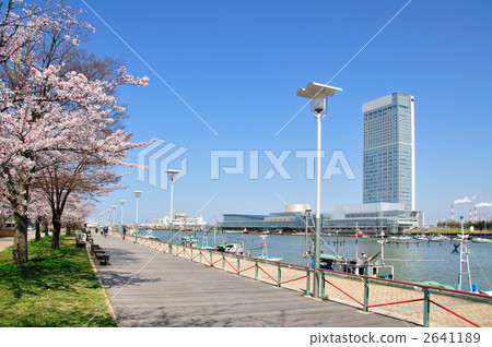 Toki Messe和Sakura 2641189