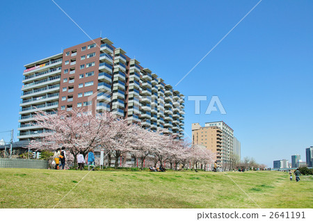 公寓和櫻桃樹 2641191
